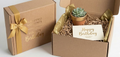 The Birthday Glow: Modern Succulent Gift Box